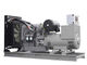 Generator Diesel Perkins 800 KW Marathon Alternator Generator Mesin Perkins