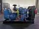 Generator Mesin Diesel China Tipe Terbuka Generator Portabel Diesel 1500 RPM
